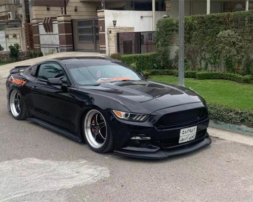 2018 Ford Mustang lowered by muscular standards