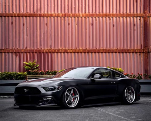 Unleash the Beast: Ford Mustang with Lowered Suspension