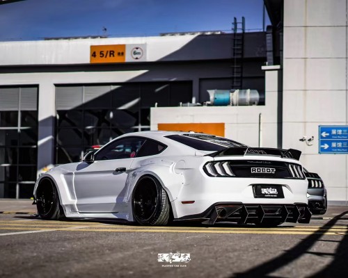 Embracing the Lowered  Ford Mustang Transformed